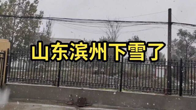 山东滨州:阳信温店镇下鹅毛般大雪