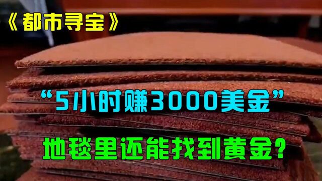 都市寻宝:地毯里还能找到黄金?大叔靠一堆灰尘5小时赚3000美元!