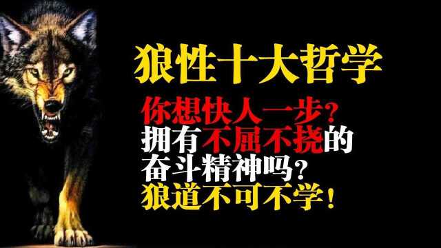 为什么企业要学习狼性文化?