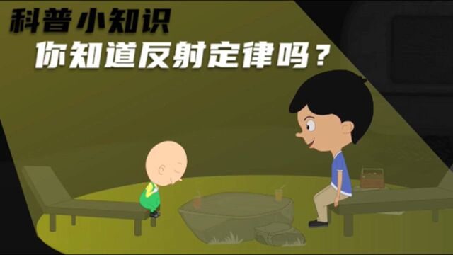 科普小知识:你知道反射定律吗?