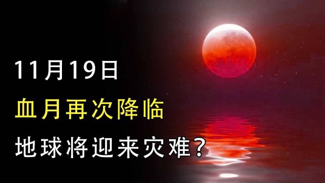 不祥之兆降临地球?11月19日“血月”将现,它的出现意味着什么?