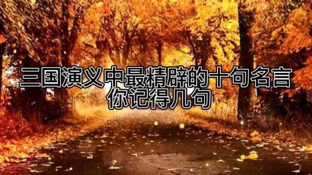 三国演义中最精辟的十句名言 你记得几句