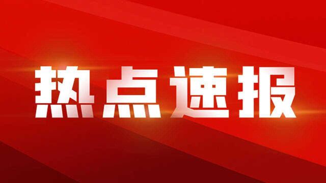 福州交警专项整治:不系安全带、接打电话!