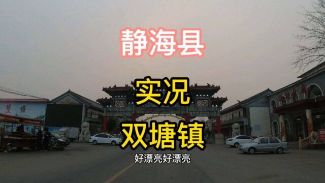 天津市静海区第《10》个视频,双塘镇实地考察