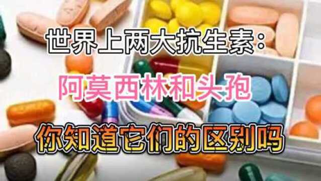 世界上两大抗生素:阿莫西林和头孢,你知道它们的区别