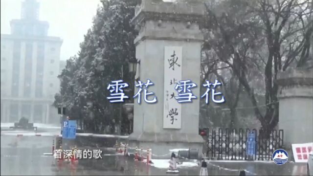 雪花 雪花