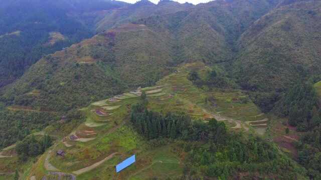 此山呈现大龙脉,龙虎报喜,真是难得一找的墓葬风水宝地