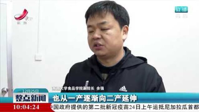 江西省科技特派团到铜鼓指导黄精产业发展