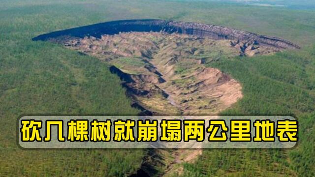 地狱之门被打开?两公里地表瞬间崩塌,就因为砍了几棵树?