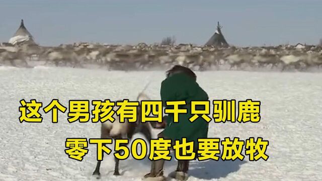 在北极冰原上,男孩带着4000头驯鹿,零下50度放牧