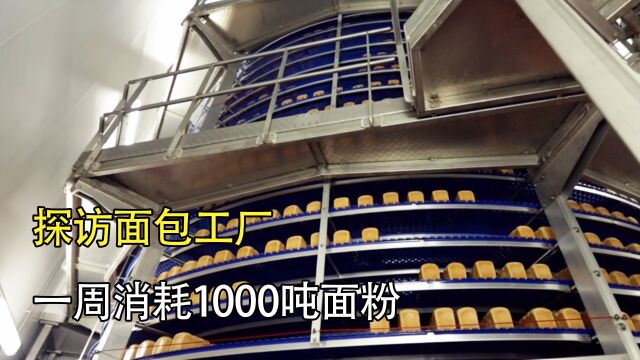 探访面包工厂:每周消耗1000吨面粉,生产500万个面包