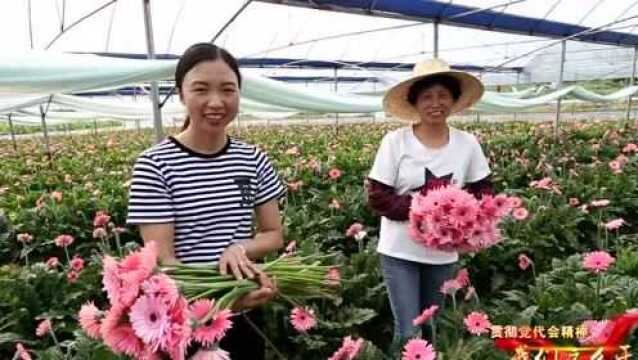 三明这些县(市、区)委书记的“备忘录”写了什么?