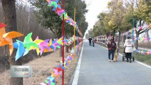 泗县石龙湖国家湿地公园元旦假期游客旺