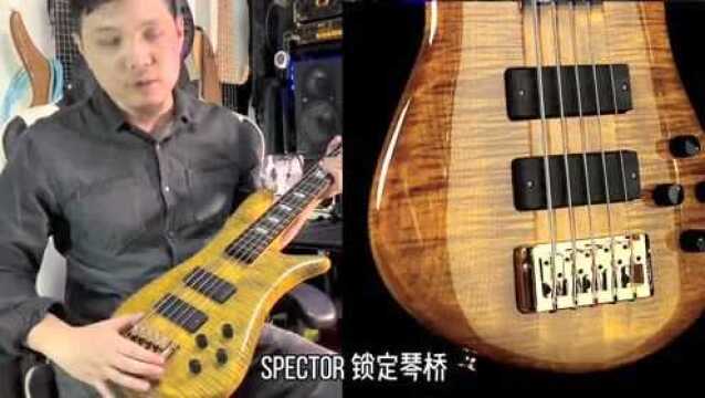 传奇之声 | Spector Euro LT 欧产轻量前卫贝斯