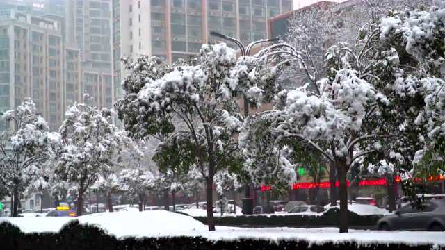 【洛阳天气1.22】降雪持续,气温偏低,出行重安全多保暖