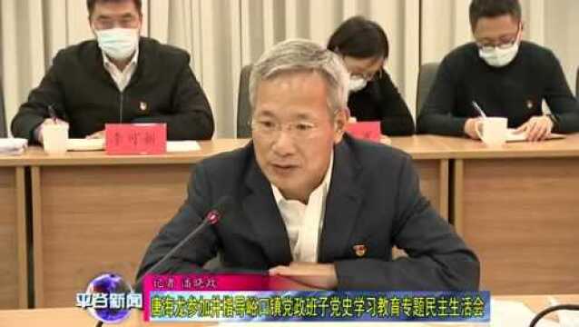 唐海龙参加并指导峪口镇党政班子党史学习教育专题民主生活会