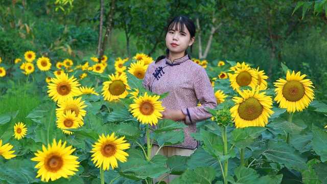 把我种的葵花籽做成瓜子花生糖,新年小零食不就有啦