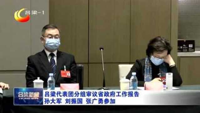 吕梁代表团分组审议省政府工作报告 孙大军 刘振国 张广勇参加