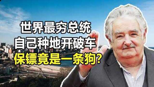 世界最穷总统穆希卡:自己种地开破车,保镖竟是一只三条腿的狗?【1/3】