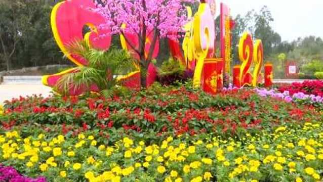 【网络中国节 ⷠ春节】扶绥:花团锦簇迎新年