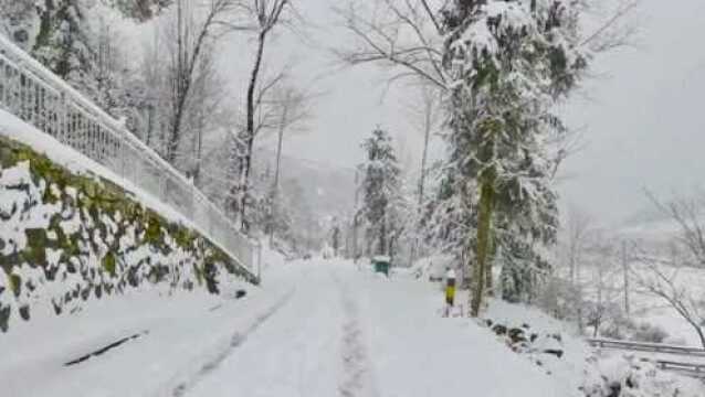 舒城:全县普降大雪!各地积雪深度快报!