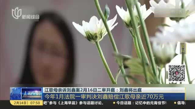 江歌母亲诉刘鑫案2月16日二审开庭:刘鑫将出庭