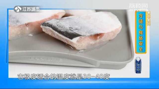 冷冻食品怎么解冻?这些误区竟会导致营养流失 你知道吗?