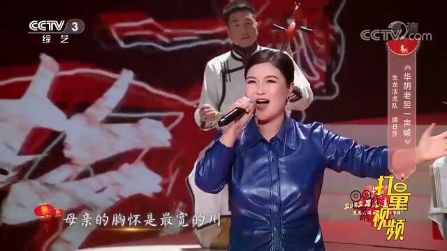 娜日莎演唱《华阴老腔一声喊》,歌声响彻全场,太好听