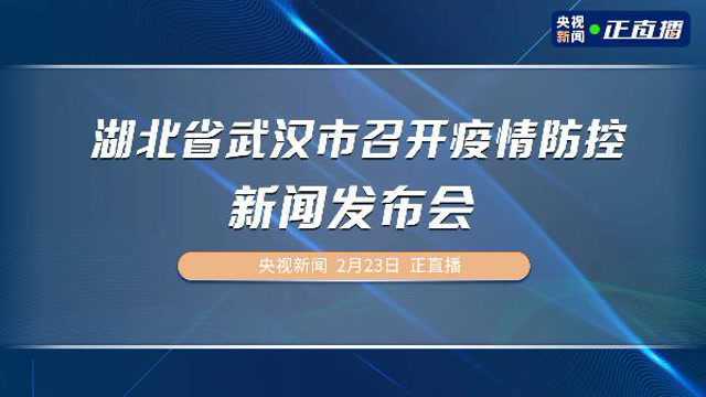 湖北省武汉市召开疫情防控新闻发布会