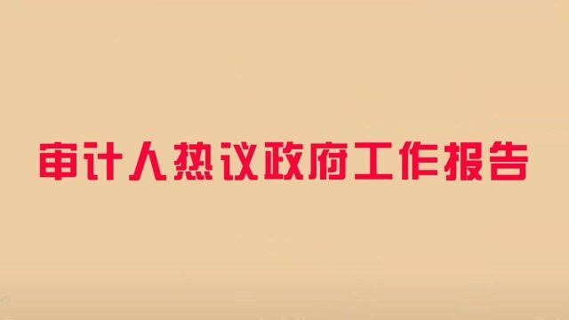 审计署南京办周彭唯审计人热议政府工作报告