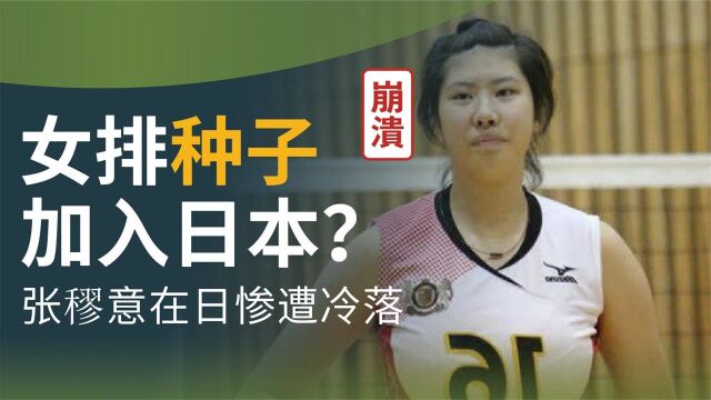 张心穆意:曾被誉为朱婷接班人,随后加入日本国籍