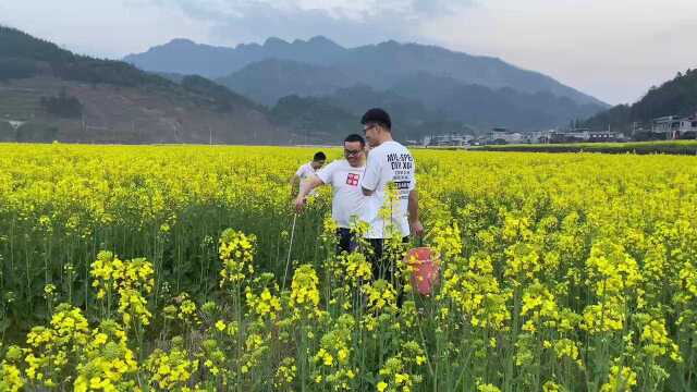 林德胜我工作的地方龙山掠影