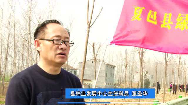 我县组织开展2022年度全民义务植树活动