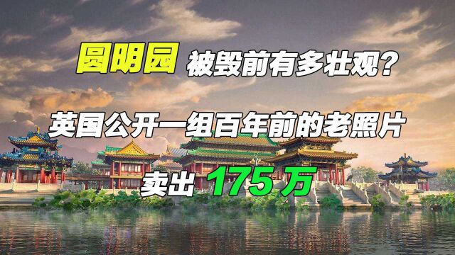 圆明园被毁前有多壮观?英国公开一组百年前的老照片,卖出175万