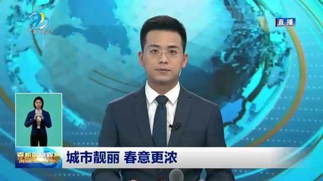 【东区融播报】城东区:城市靓丽 春意更浓