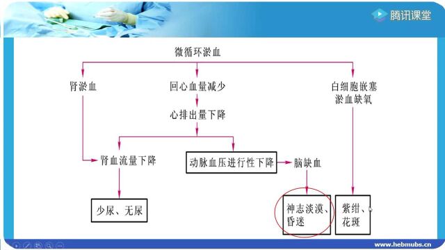 病理生理学帮扶课堂2(2022)