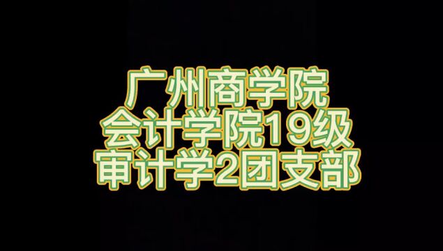 广州商学院审计1902