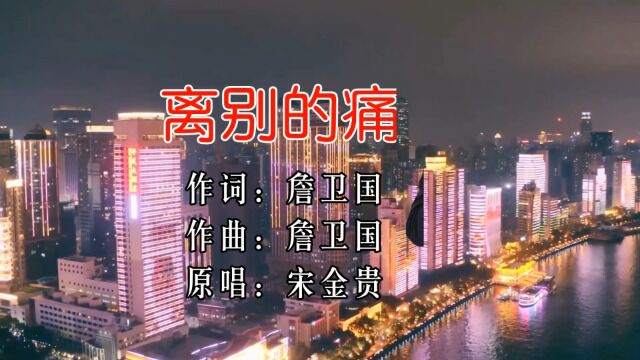 宋金贵2022最新伤感情歌《离别的痛》深情感人!好听!