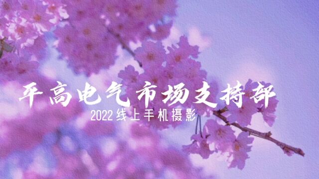 平高电气市场支持部分工会2022线上手机摄影比赛