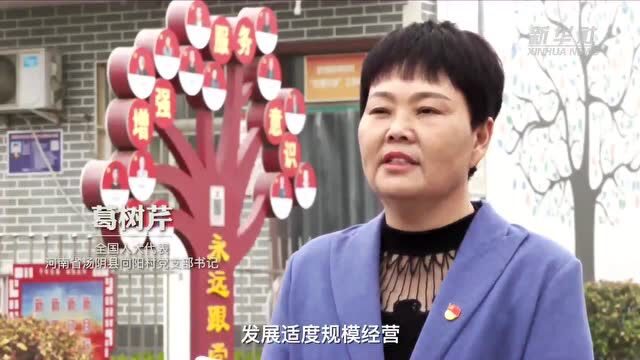 【关注】新华社重磅文章:中国经济面面观