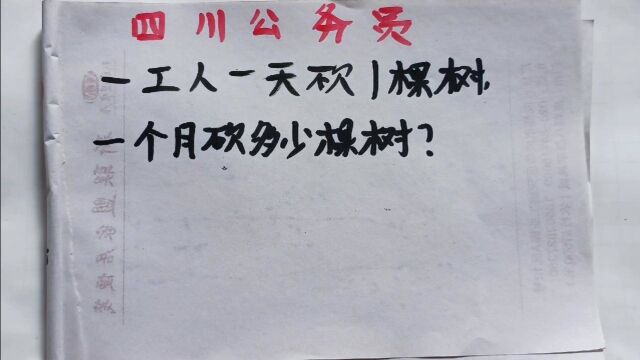 四川公务员:一工人一天砍1棵树,一个月砍多少棵树?