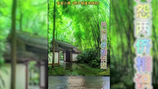 客家山歌《恨不相逢未嫁时》