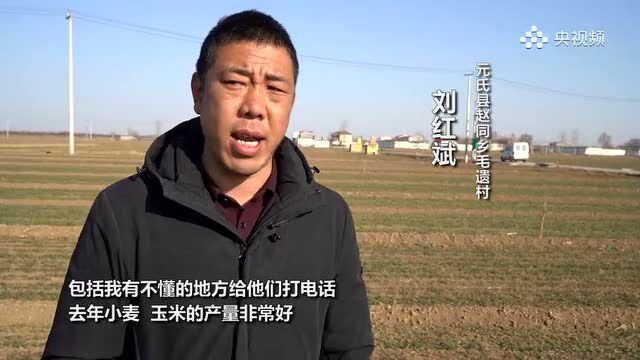 央视频客户端 | 石家庄元氏:科技壮苗早行动 精管小麦促丰收