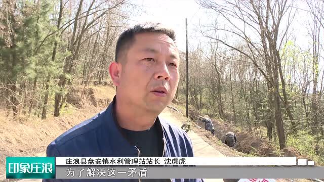 【印象庄浪】盘安镇:全面发力开好局 “多点开花”起好步