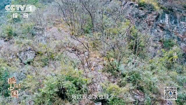 昨日重庆新增1+1|节后返渝,注意事项请看这里