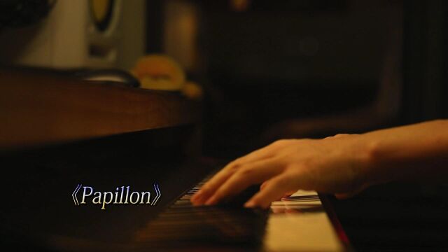 《Papillon》夜色钢琴曲 赵海洋钢琴演奏版