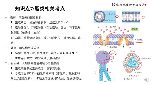 等级考 知识点7 脂类相关考点