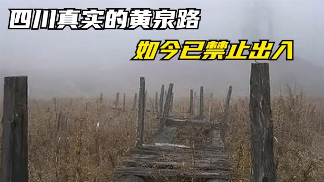 四川真实的黄泉路,如今已禁止出入,一旦误入有可能有来无回