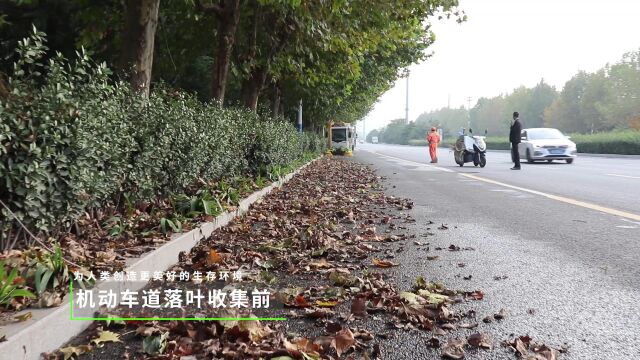 大型电动落叶收集车,广泛于市政环卫、城乡干道、学校、物业小区、园林景区、背街小巷、广场公园等人行道、辅道、绿化带等落叶收集工作,非落叶季节...