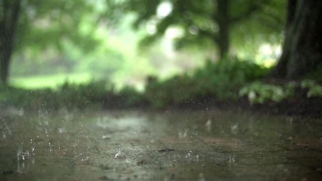 雨滴雨景、自然风景